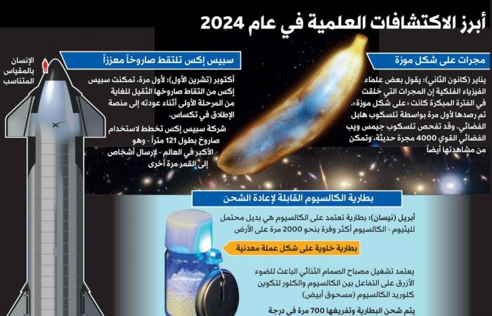 إبداعات تطمس الحدود بين الفن والتصميم وتجمع الجمال والخيال والفائدة - نايس كورة