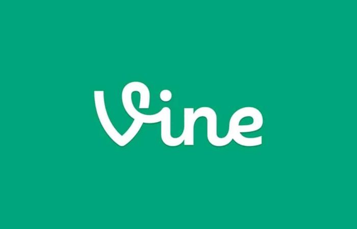 إيلون ماسك يبحث إعادة إطلاق منصة مشاركة الفيديو Vine - نايس كورة