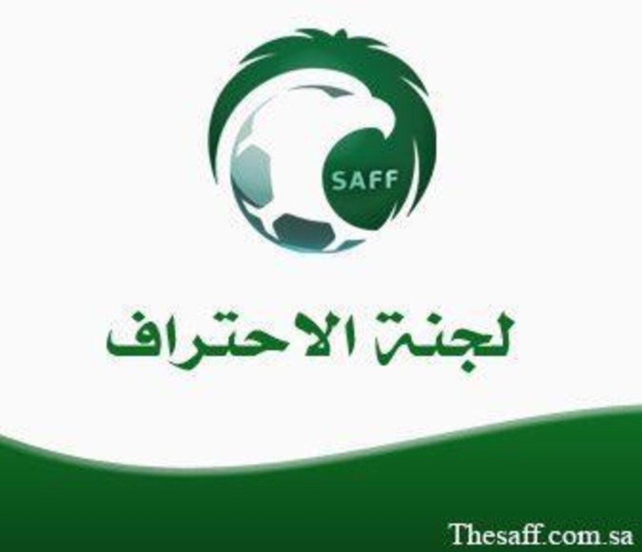 لجنة الاحتراف تواجه تحدياً كبيراً من كبار أندية دوري روشن بخصوص "المواليد".. تصريحات صريحة وواضحة للجميع في 2025